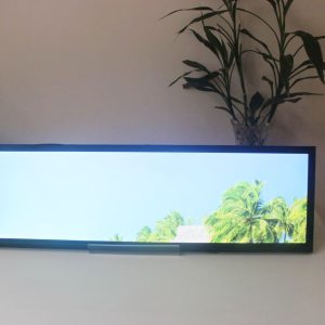 19.5 inch stretched LCD display